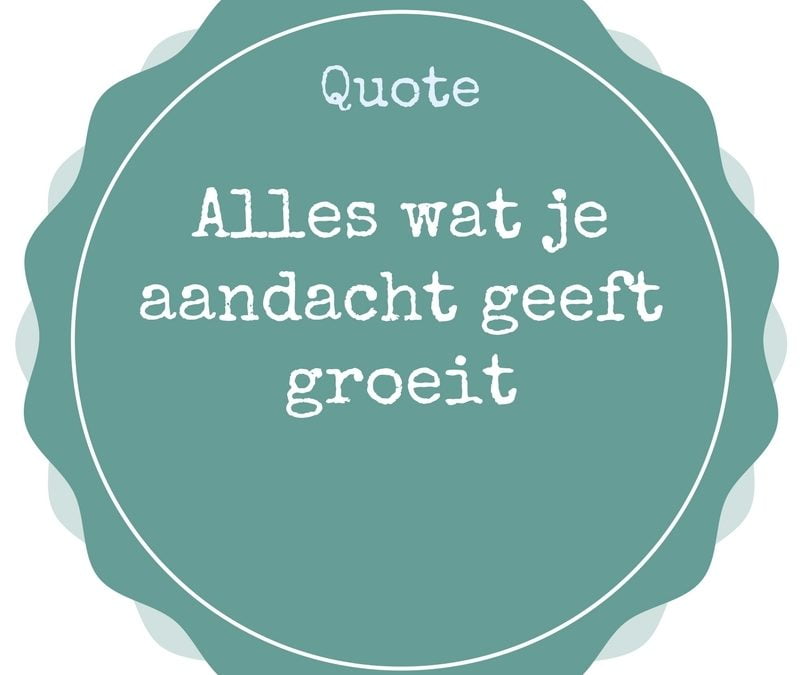 Je kind vraagt zoveel negatieve aandacht